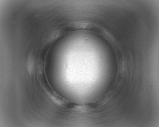 X0000082140414200701262247
