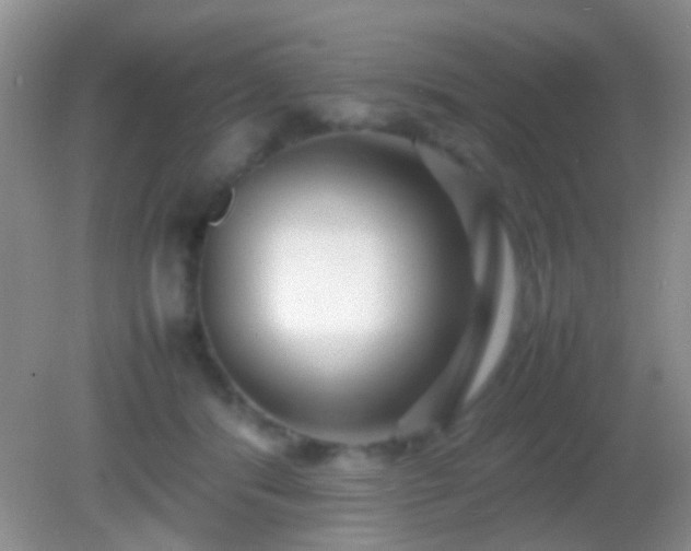 X0000082140416200701262247