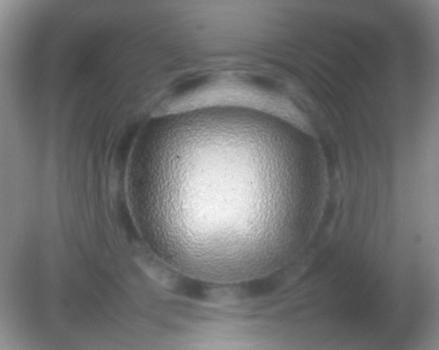 X0000082140417200701262247