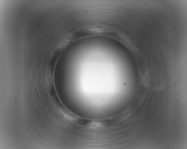 X0000082140418200701262247