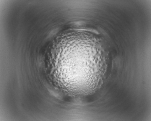 X0000082140423200701262247