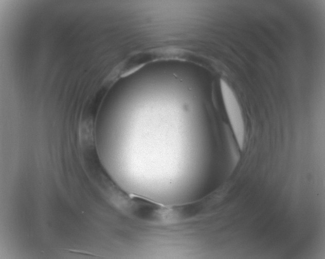 X0000082140425200701262247