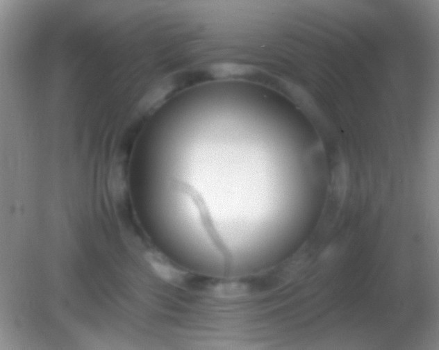X0000082140426200701262247