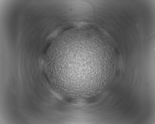 X0000082140427200701262247