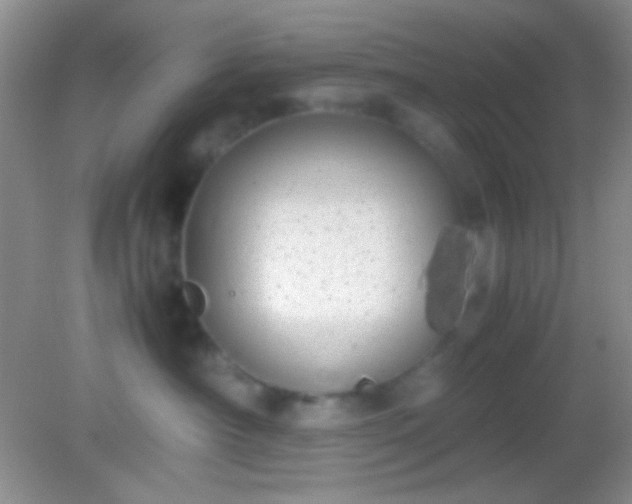 X0000082140430200701262247