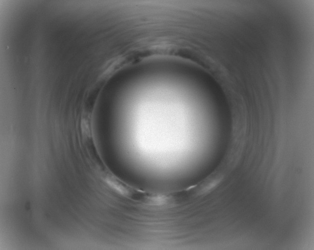 X0000082140432200701262247