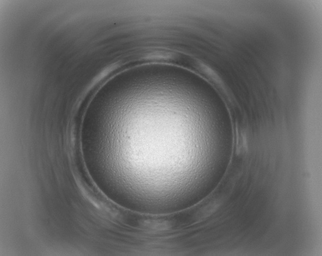 X0000082140435200701262246