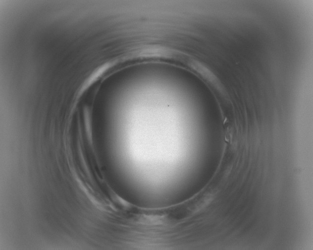 X0000082140436200701262246