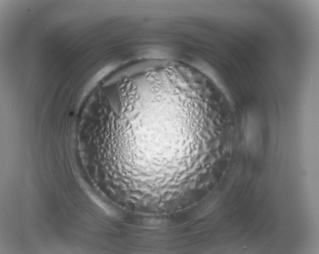 X0000082140437200701262246