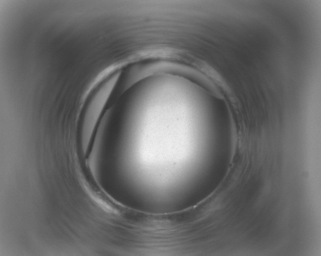 X0000082140438200701262246