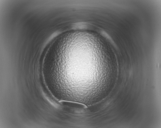 X0000082140439200701262246