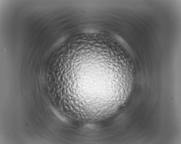 X0000082140441200701262247