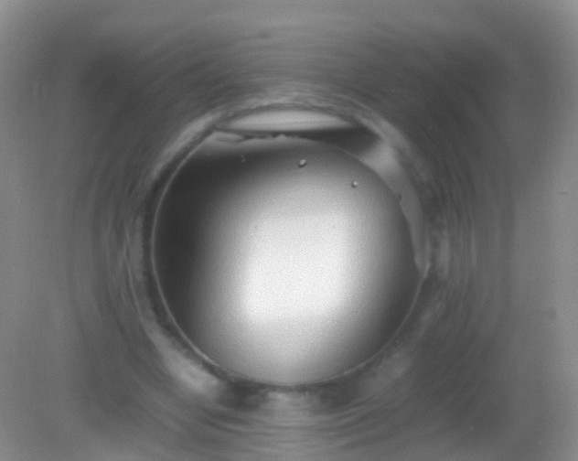 X0000082140442200701262247