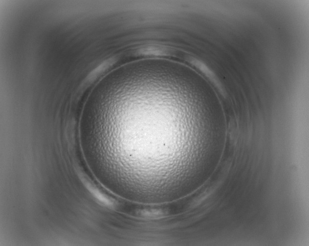 X0000082140445200701262247