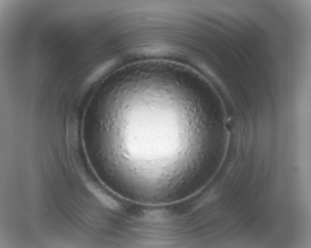 X0000082140446200701262247