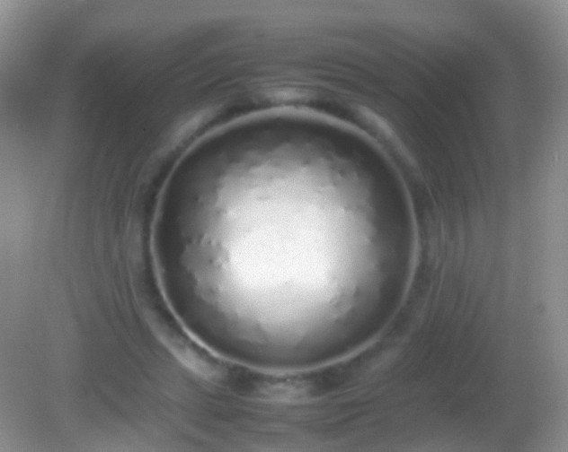 X0000082140447200701262247