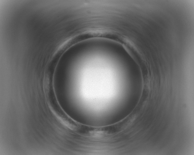 X0000082140448200701262247