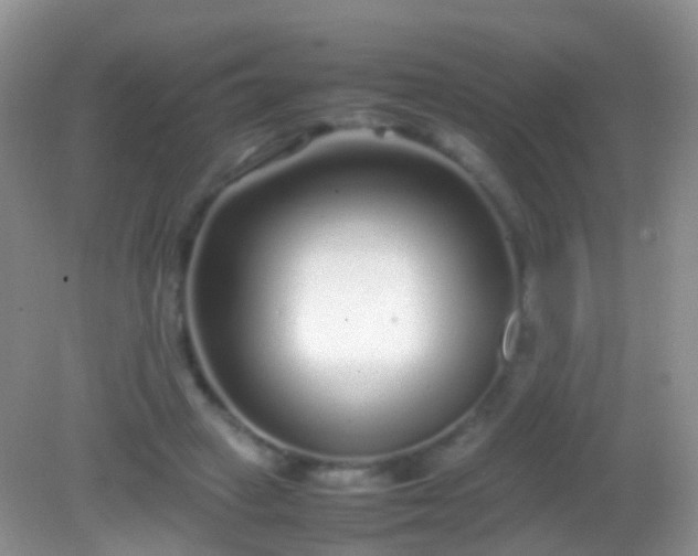 X0000082140449200701262247