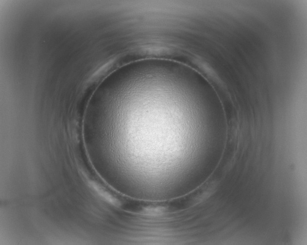 X0000082140450200701262247
