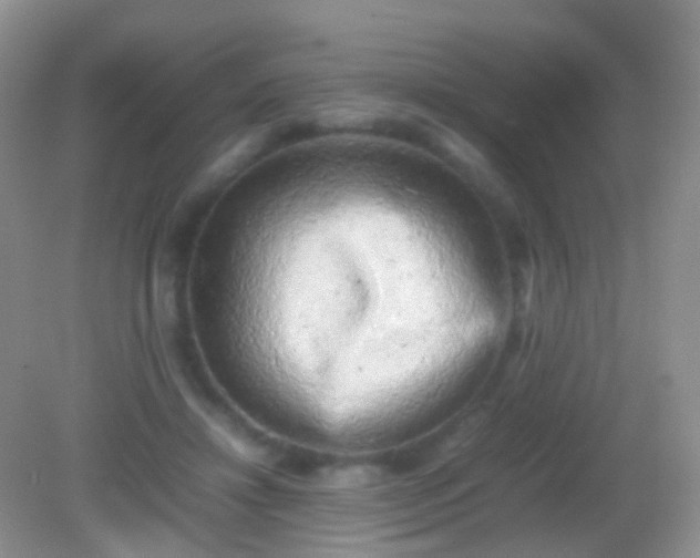 X0000082140452200701262247