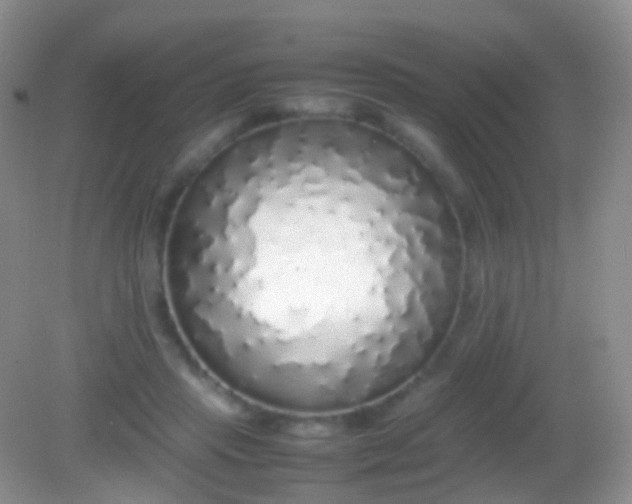 X0000082140453200701262247
