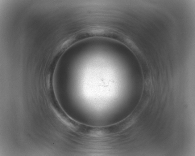 X0000082140454200701262247