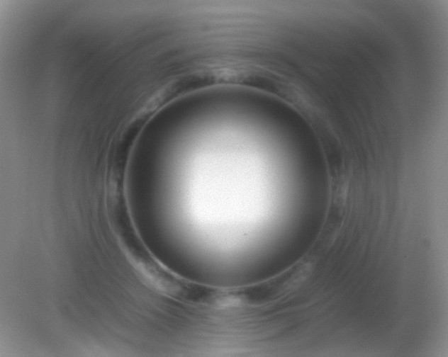 X0000082140456200701262247
