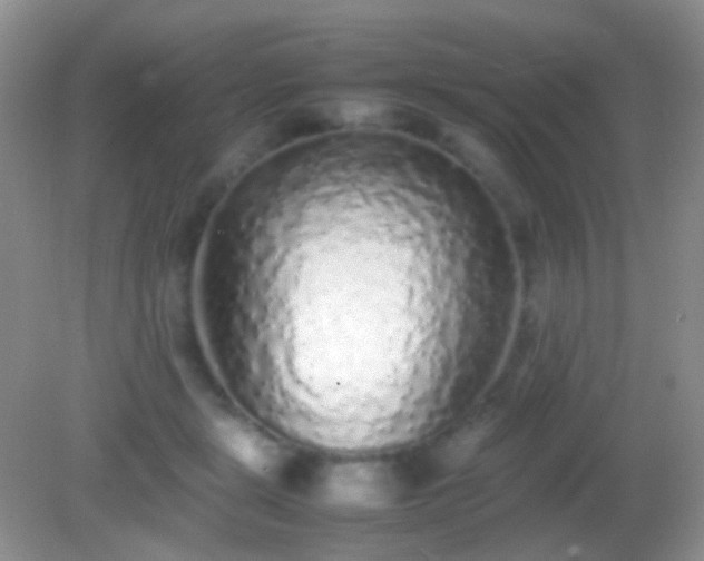 X0000082140461200701262247