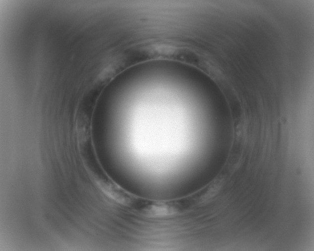 X0000082140464200701262247