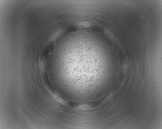 X0000082140468200701262247