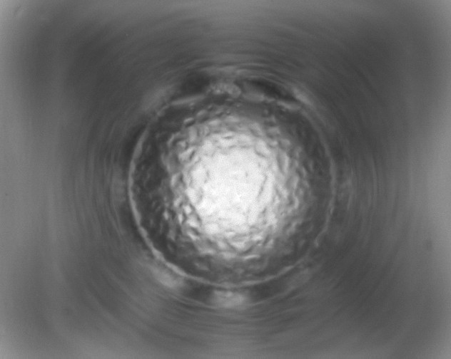 X0000082140469200701262247