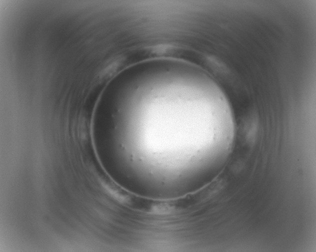 X0000082140470200701262247