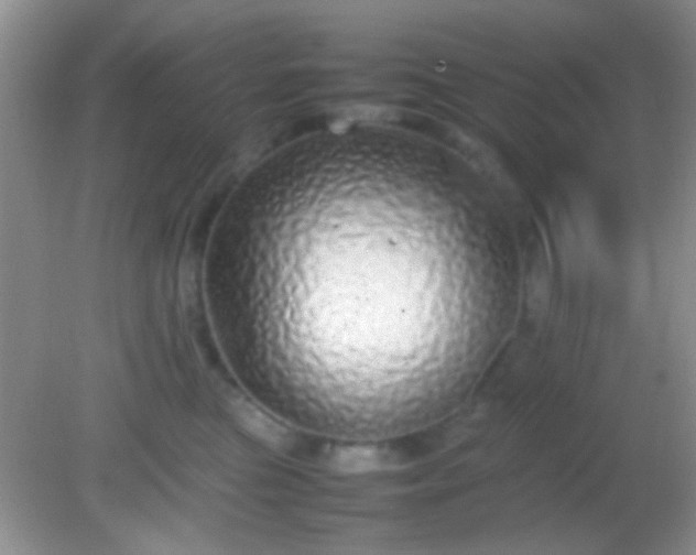 X0000082140473200701262247