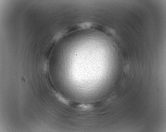 X0000082140477200701262247