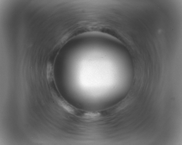 X0000082140480200701262247