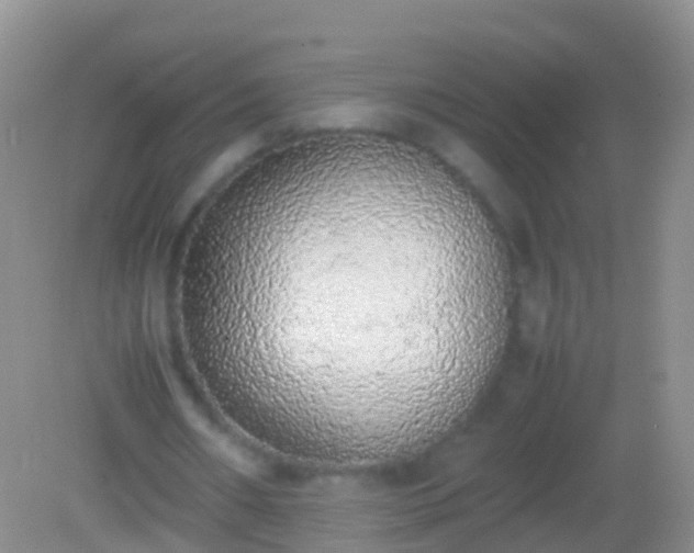 X0000082140482200701262246