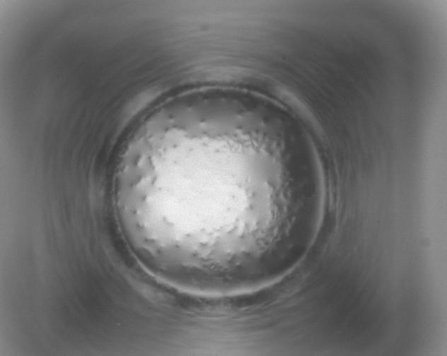 X0000082140483200701262246