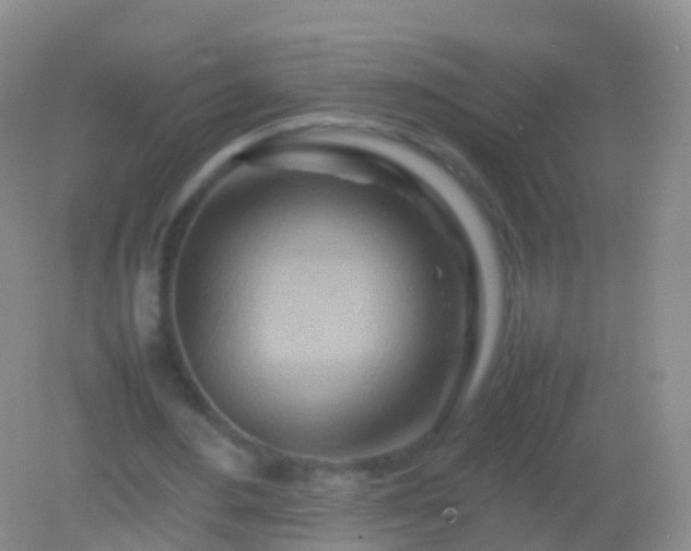 X0000082140484200701262246