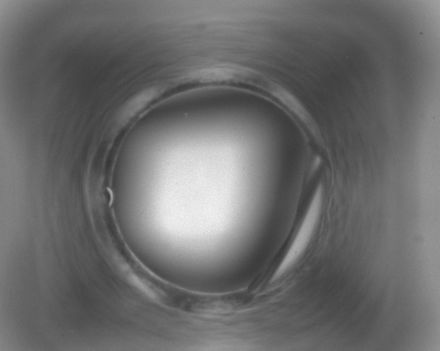 X0000082140485200701262246