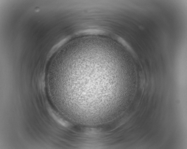 X0000082140486200701262246