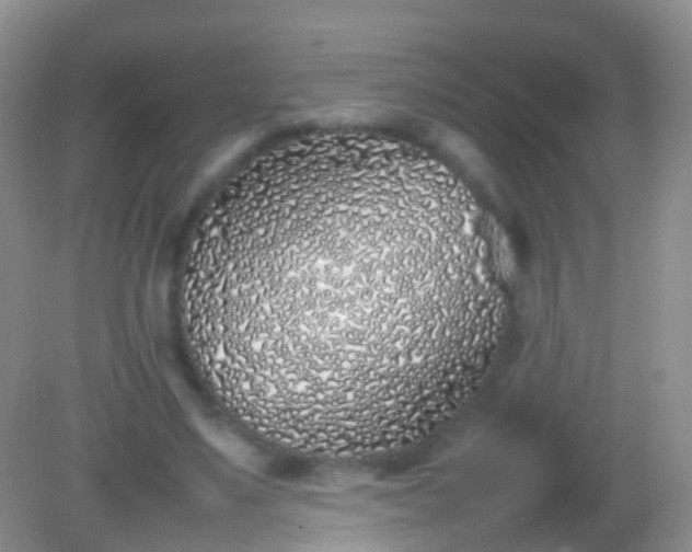 X0000082140491200701262246