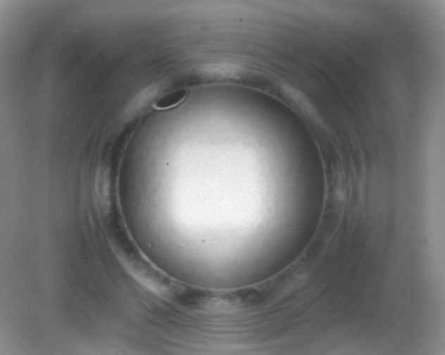 X0000082140494200701262246