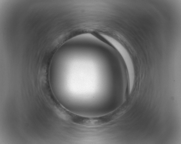 X0000082140497200701262246