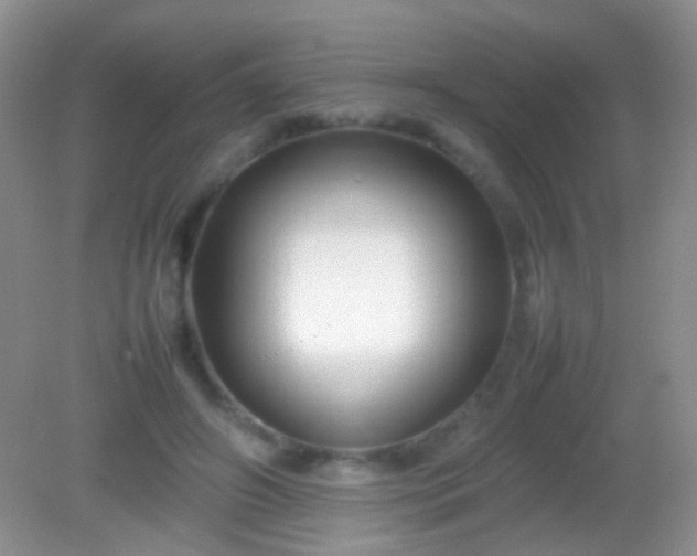 X0000082140498200701262246