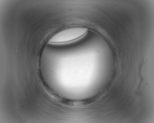 X0000082140501200701262246