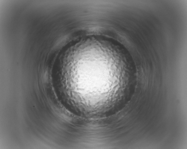 X0000082140502200701262246