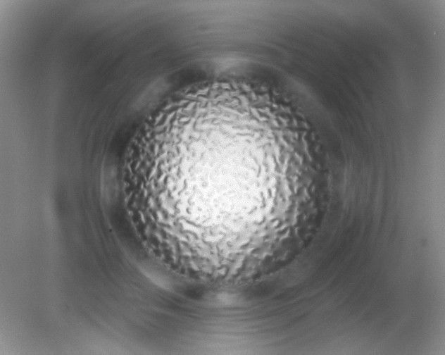 X0000082140506200701262246