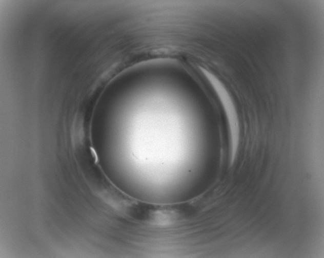 X0000082140508200701262246