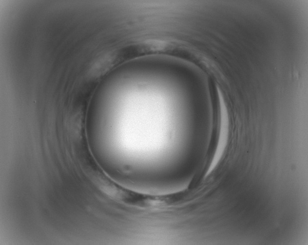 X0000082140509200701262246