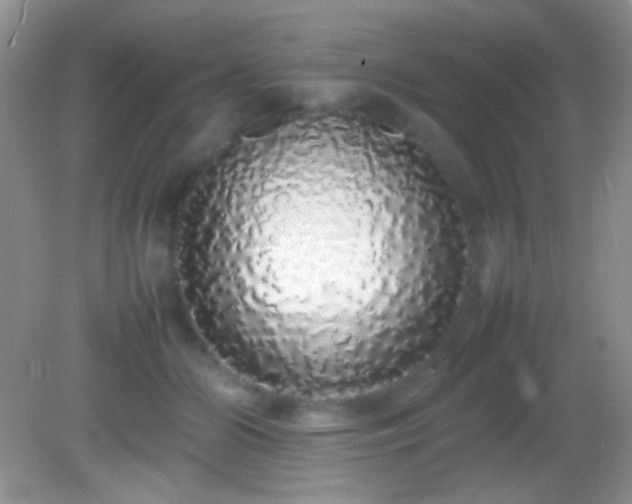 X0000082140510200701262246